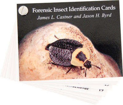 Forensic Insect Identification Cards